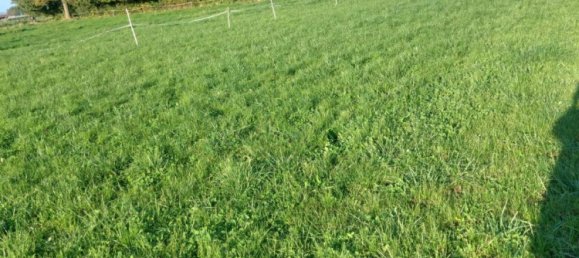 Terreno em Beaumont-en-Beine, France 1594 m² N.º 222371 4