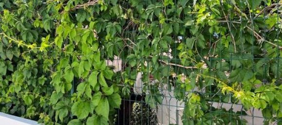 2 bedrooms Villa in Sesimbra, Portugal No. 147289 23