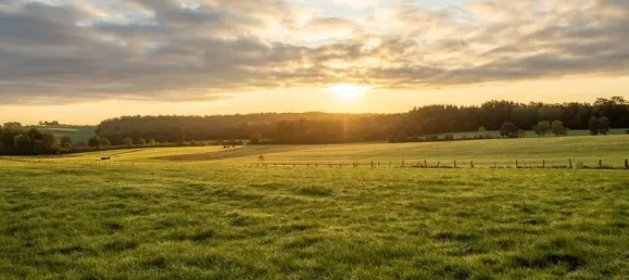 Casa de 2 dormitorios en Notre-Dame-d'Oe, France No. 344094 3