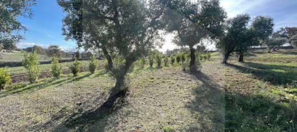 3-Zimmer Villa in Ostuni, Italy, Nr. 21641 26