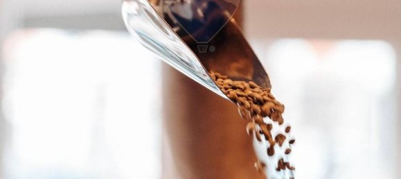 Propiedad comercial de 3 habitaciónes en Mantua, Italy No. 346107 3