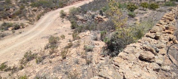 Terreno em Arico, Spain 11758 m² N.º 117773 4