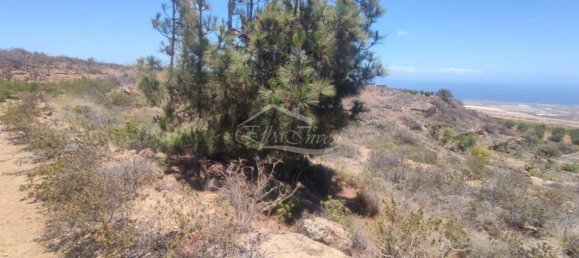 Terreno em Arico, Spain 11758 m² N.º 117773 17