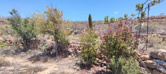 Terreno em Arico, Spain 11758 m² N.º 117773 20