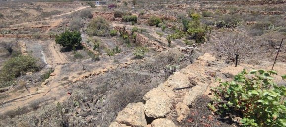 Terreno em Arico, Spain 11758 m² N.º 117773 12