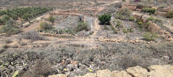 Terreno em Arico, Spain 11758 m² N.º 117773 19