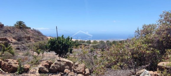 Terreno em Arico, Spain 11758 m² N.º 117773 15