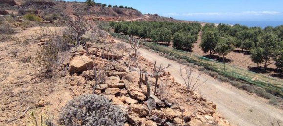 Terreno em Arico, Spain 11758 m² N.º 117773 5