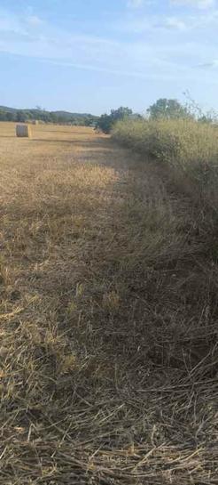  قطعة أرض في Palma de Majorca, Spain 1900متر مربع رقم 186164