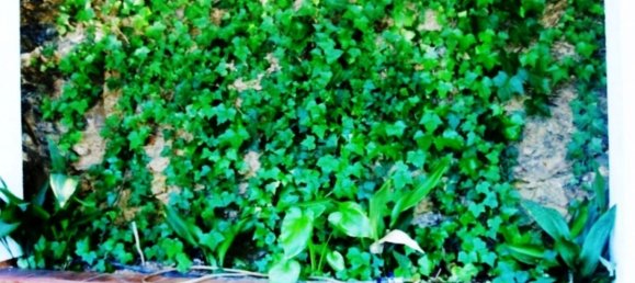 Земельный участок 520м² в Михас, Испания № 75217 35