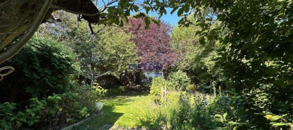 3 rooms Bungalow in Neufeld an der Leitha, Austria No. 228316 14