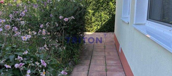 3 rooms Bungalow in Neufeld an der Leitha, Austria No. 228316 3