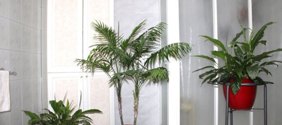 5 rooms House in Nonantola, Italy No. 176894 30