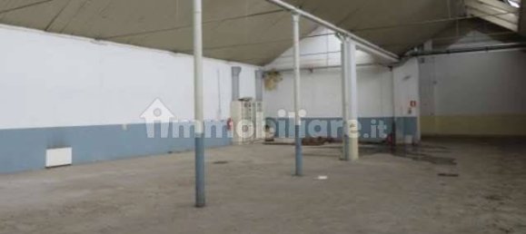 5 rooms Warehouse in Luserna San Giovanni, Italy No. 258313 7