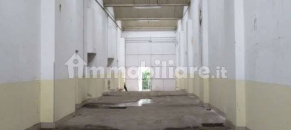 5 rooms Warehouse in Luserna San Giovanni, Italy No. 258313 3