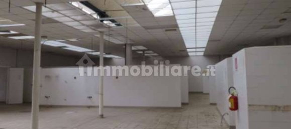 5 rooms Warehouse in Luserna San Giovanni, Italy No. 258313 11