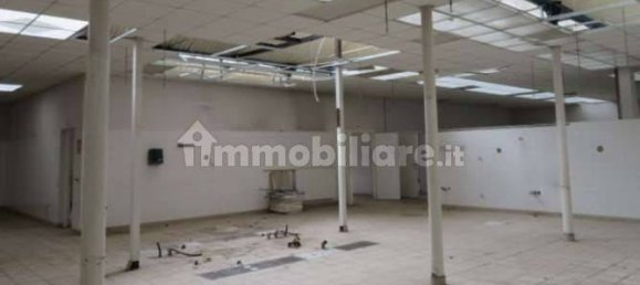5 rooms Warehouse in Luserna San Giovanni, Italy No. 258313 4