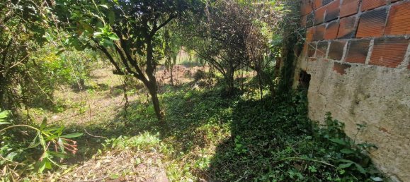 3 chambres Maison à Tapeus, Portugal No. 161763 4