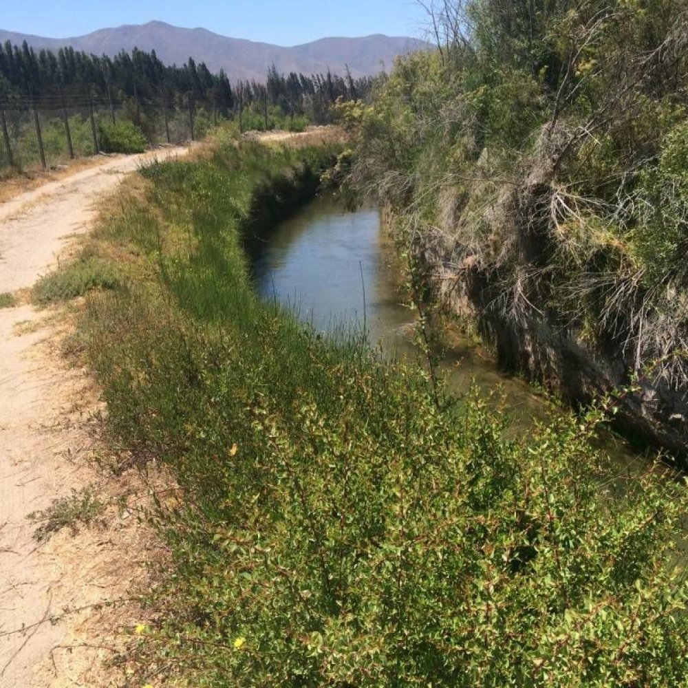  قطعة أرض في Coquimbo, Chile رقم 1280