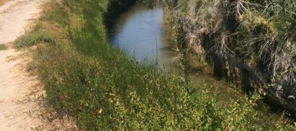  قطعة أرض في Coquimbo, Chile رقم 1280 2