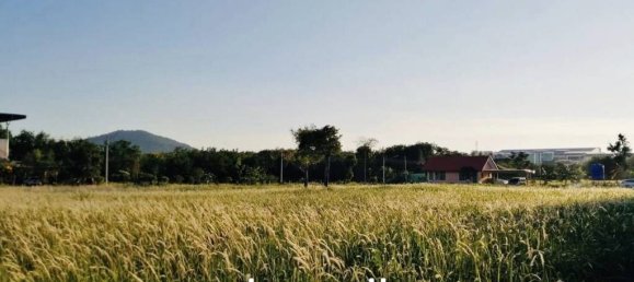  Commercial property in Mai Khao, Thailand No. 13052 11