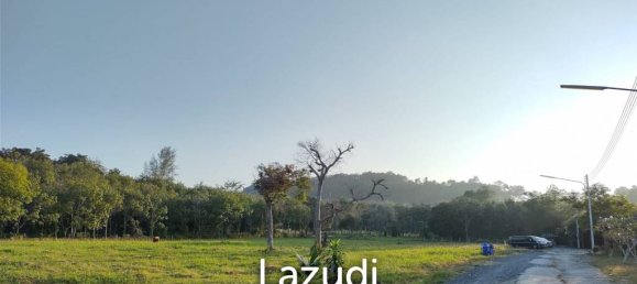  Commercial property in Mai Khao, Thailand No. 13052 6