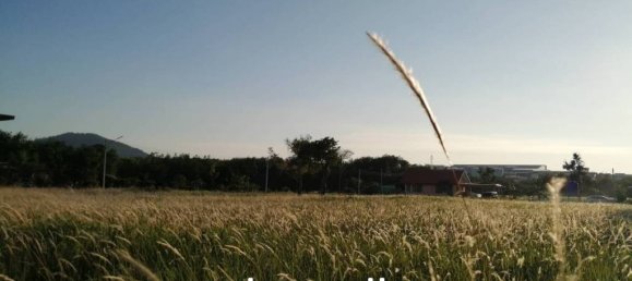  Commercial property in Mai Khao, Thailand No. 13052 8