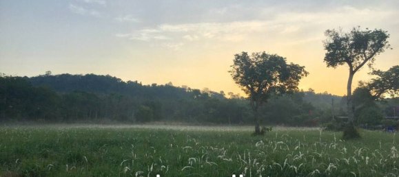  Commercial property in Mai Khao, Thailand No. 13052 14