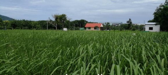  Commercial property in Mai Khao, Thailand No. 13052 12