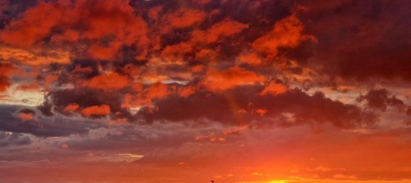 3غرفة منزل ذو طابقين في Munich, Germany رقم 308948 12