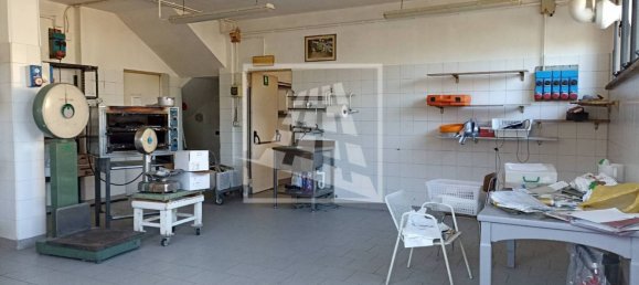 Gewerbliche Immobilie in Quattro Castella, Italy 410m², Nr. 292809 6