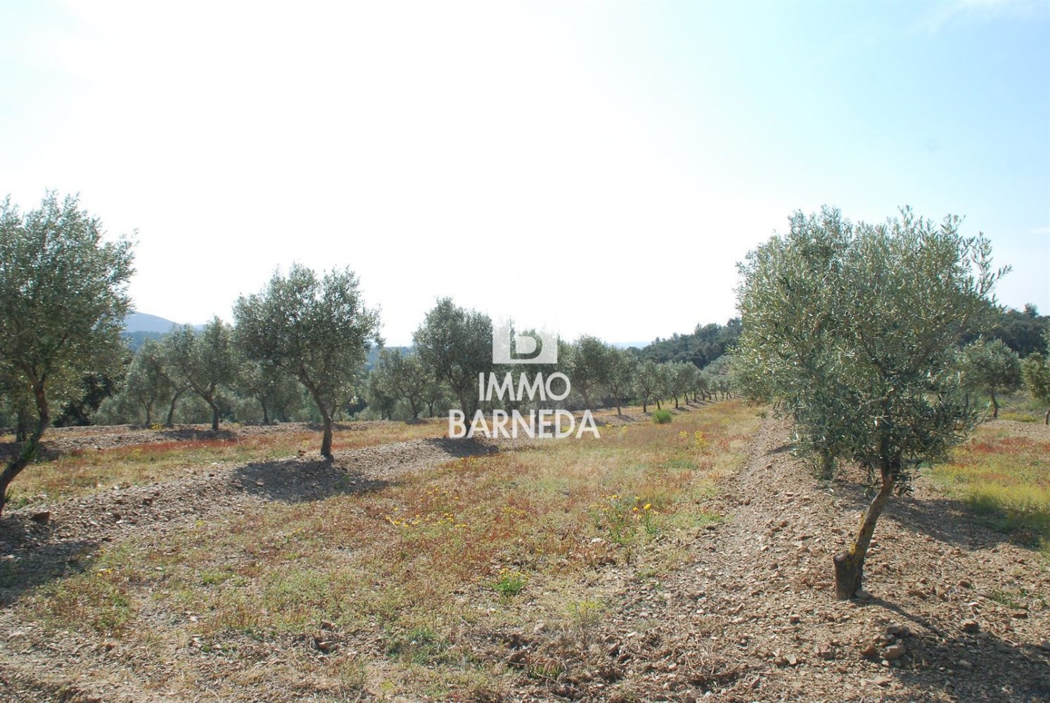 561m² Land in Garriguella, Spain No. 73546