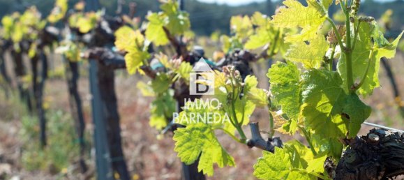 561m² Land in Garriguella, Spain No. 73546 4