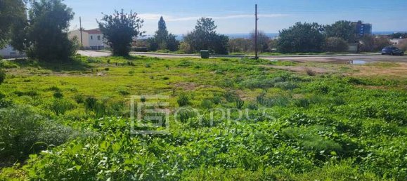 3345m² Hotel in Konia, Cyprus No. 20652 2