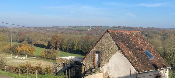 Gewerbliche Immobilie in Sarge-sur-Braye, France 202m², Nr. 238901 2