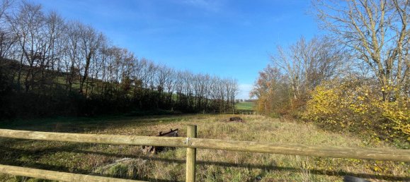 Gewerbliche Immobilie in Sarge-sur-Braye, France 202m², Nr. 238901 8