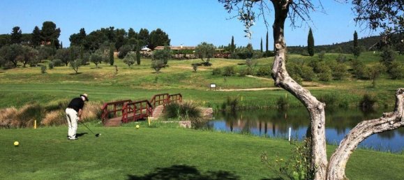 15 rooms House in Follonica, Italy No. 164809 4