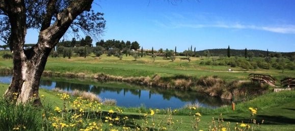 15 rooms House in Follonica, Italy No. 164809 13