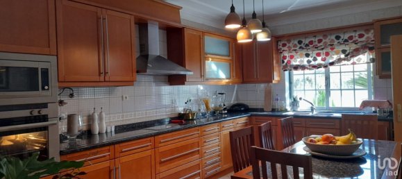 6 bedrooms House in Castelo Branco, Portugal No. 179325 3