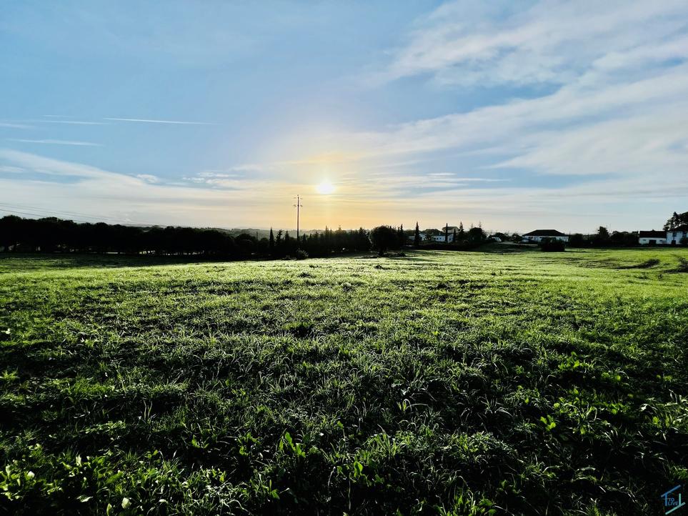 13720m² Land in Tomar, Portugal No. 263890