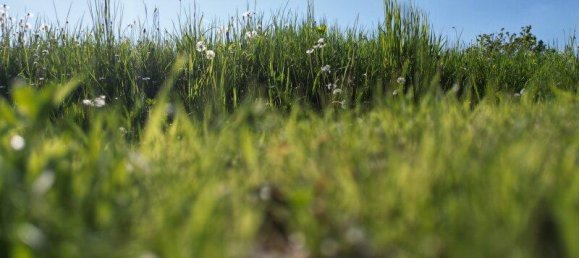  قطعة أرض في Raaba-Grambach, Austria رقم 255199 4