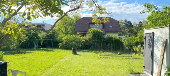 Grundstück in Pfaffstätten, Austria 644m², Nr. 215373 2