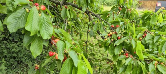 Grundstück in Pfaffstätten, Austria 644m², Nr. 215373 6