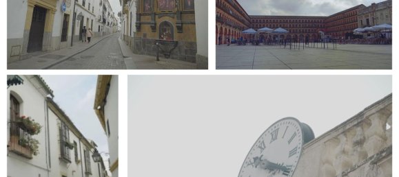 17 Schlafzimmer Haus in Cordoba, Spain, Nr. 77254 4