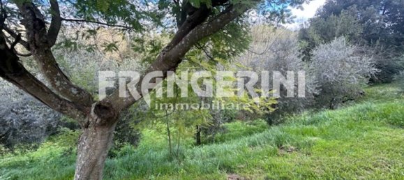 6 bedrooms Villa in Fauglia, Italy No. 203303 29