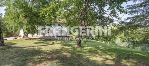 6 bedrooms Villa in Fauglia, Italy No. 203303 5