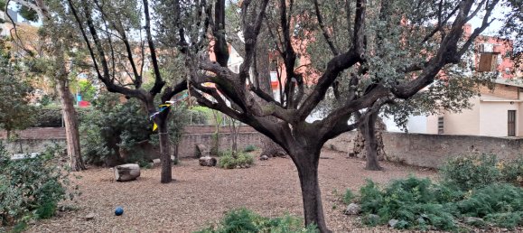 25 bedrooms House in Sant Joan Despi, Spain No. 145296 12