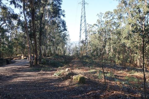 Grundstück in Barcelos, Portugal, Nr. 202292