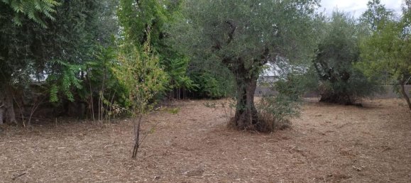 447m² Land in Navalagamella, Spain No. 111697 6
