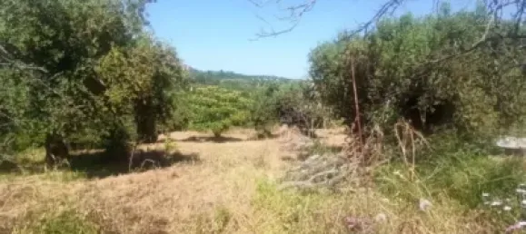  Land in Reus, Spain No. 144786 15